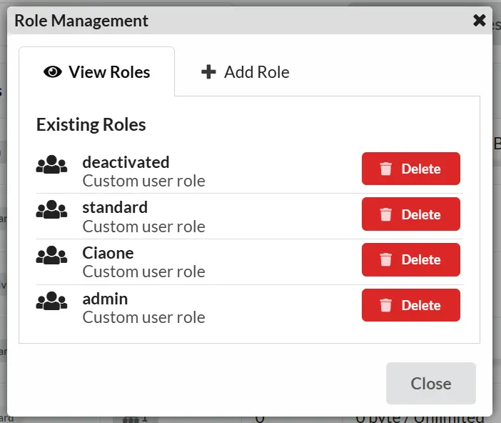 Role Management Interface